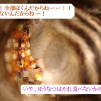 プロフィール プロフィール